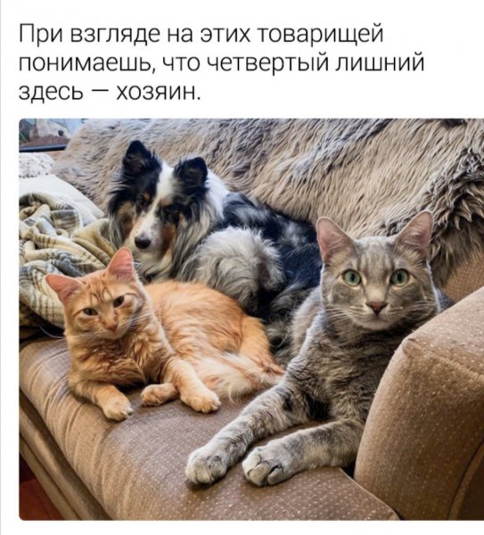 Явно!