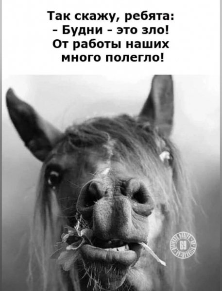2krcynOYQtU