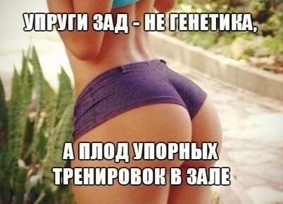 yH3cLVW6vH4