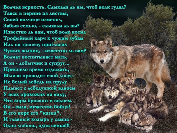 Одна семья!!!