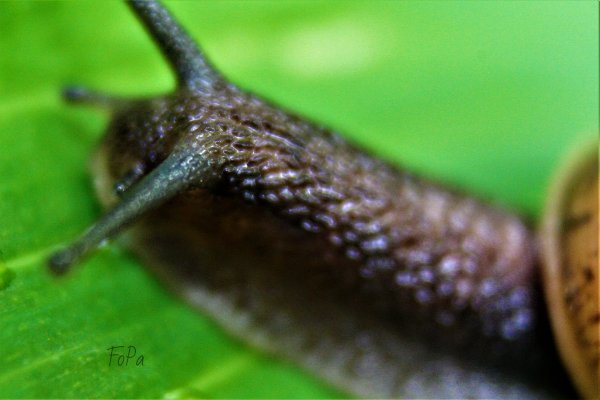 62b029ed196a8 IMG 6027