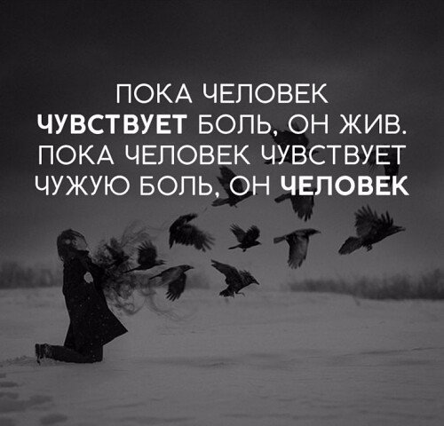 image (1)