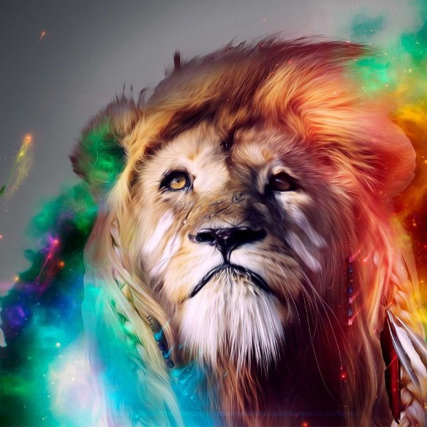 Colorful-Lion-Fantasy-Wallpaper-2048x204