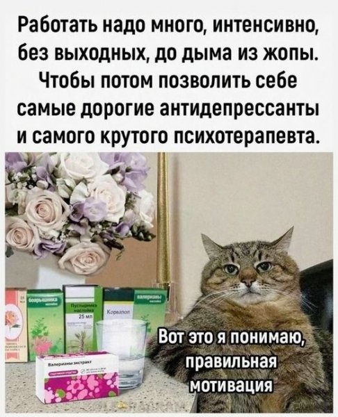 Мотивация)