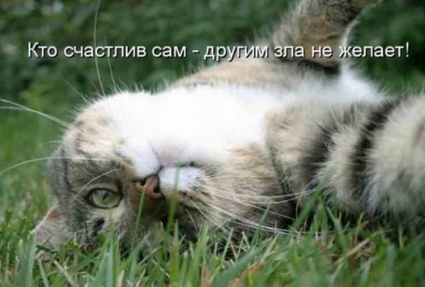 image (3)