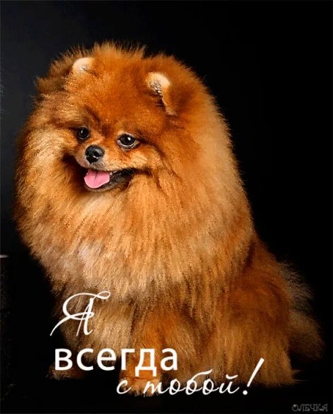 Я всегда с тобой!