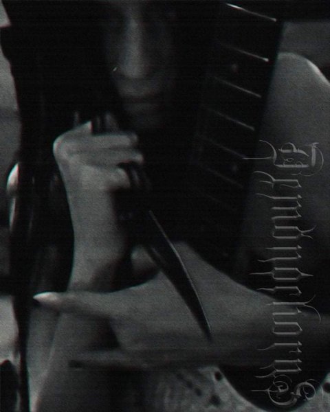 Demonochorus