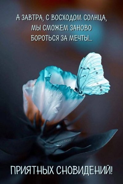 FB IMG 1768217646942