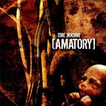 Amatory(16)