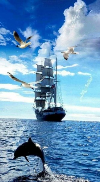 И снова в море