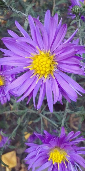 IMG 20230930 110206