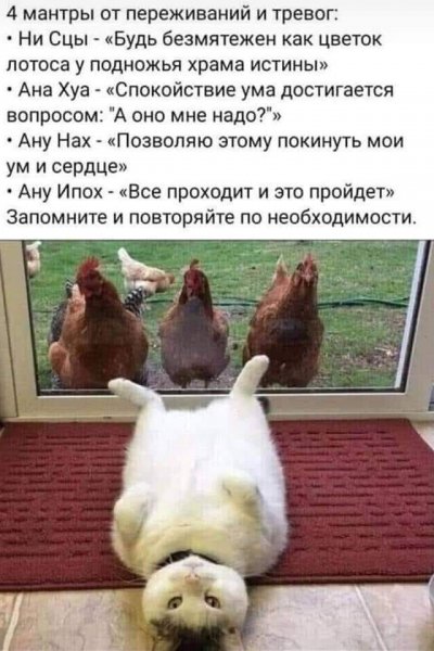 picture_416398983