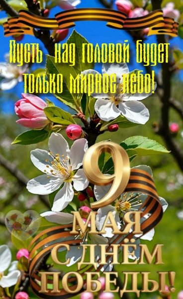 IMG-20260509-WA0007