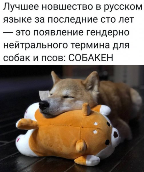 Собакен