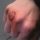 file_21893188
