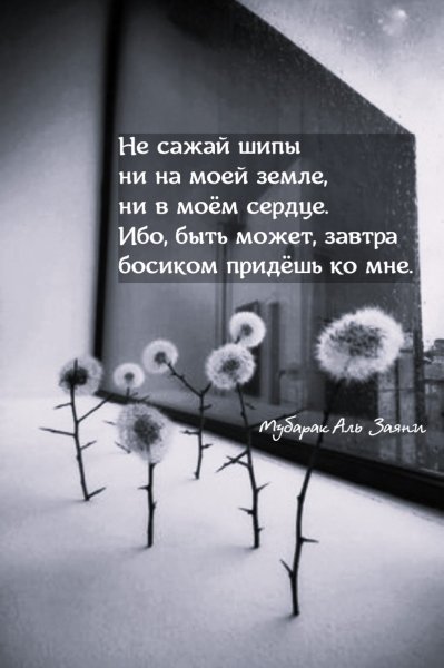 IMG 20250723 213052