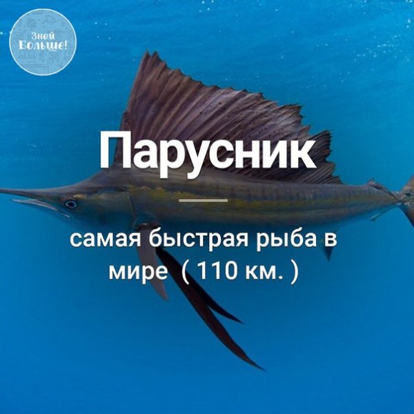 JRNFDXml1rw