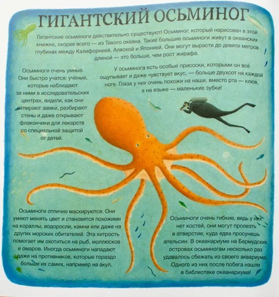 Гигантский осьминог
