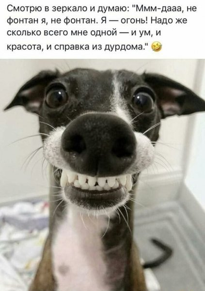 Да! ))