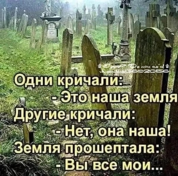 Моя земля