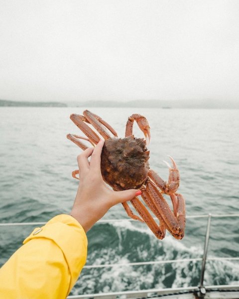 Камчатка