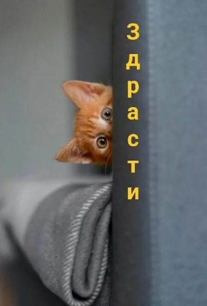 Всем!