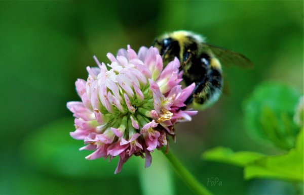 64bc1d053f9ee IMG 7130