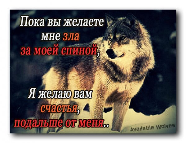 Счастье