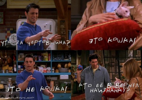 aDDH2qWxXPw