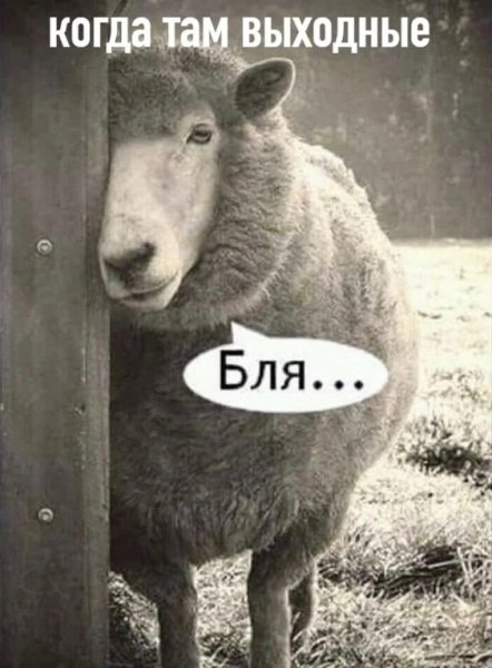 VVnBhTNtjCY