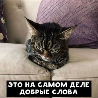 AnsCcmdg2aY