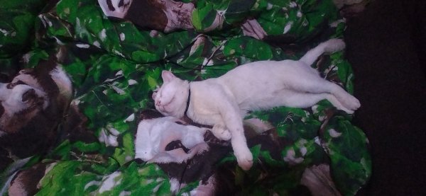 IMG 20220816 180849