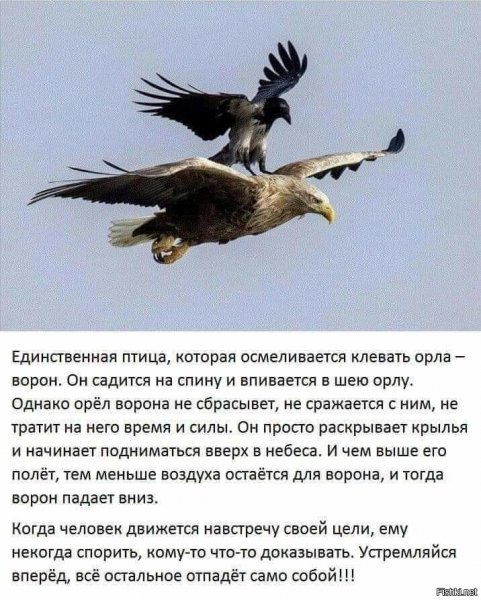 Так и есть!