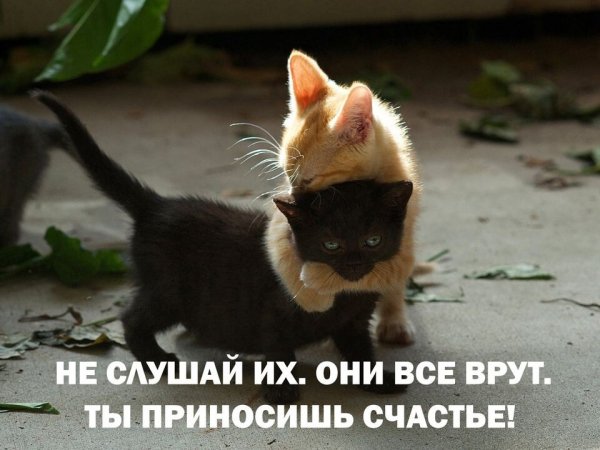 IMG 20251111 164918