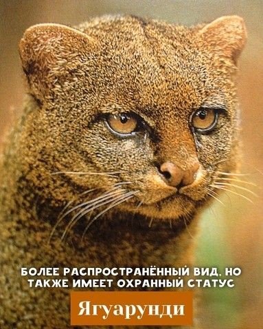 bcb24dd467a2e80bb989f6fc16f6e