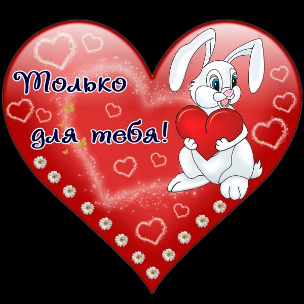 IMG-20190214-WA0005
