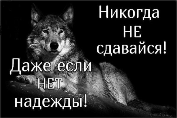 Верные слова!