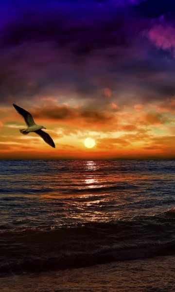 Природа