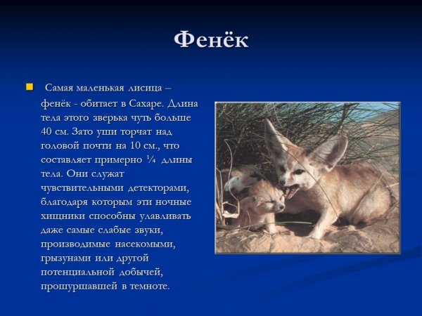 Фенëк