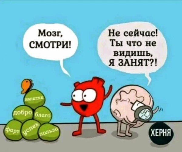 Brain