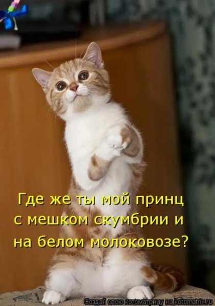 )))))))