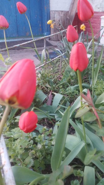 picture_411474440