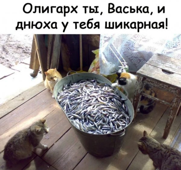 Да!!!
