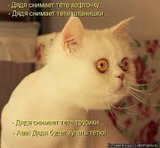 images (16)