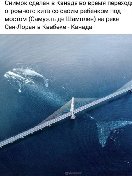 Невероятно