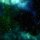 uTorrent
