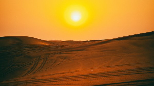 Brown-sand-field-y7-5120x2880