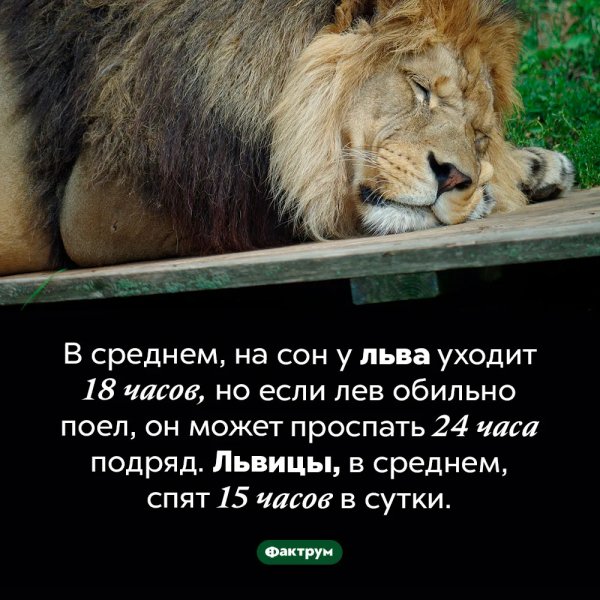 Небольшой факт