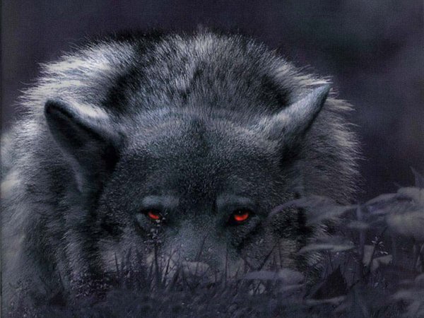 and-the-night-was-dark