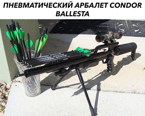b7Ngcc2v8ZE